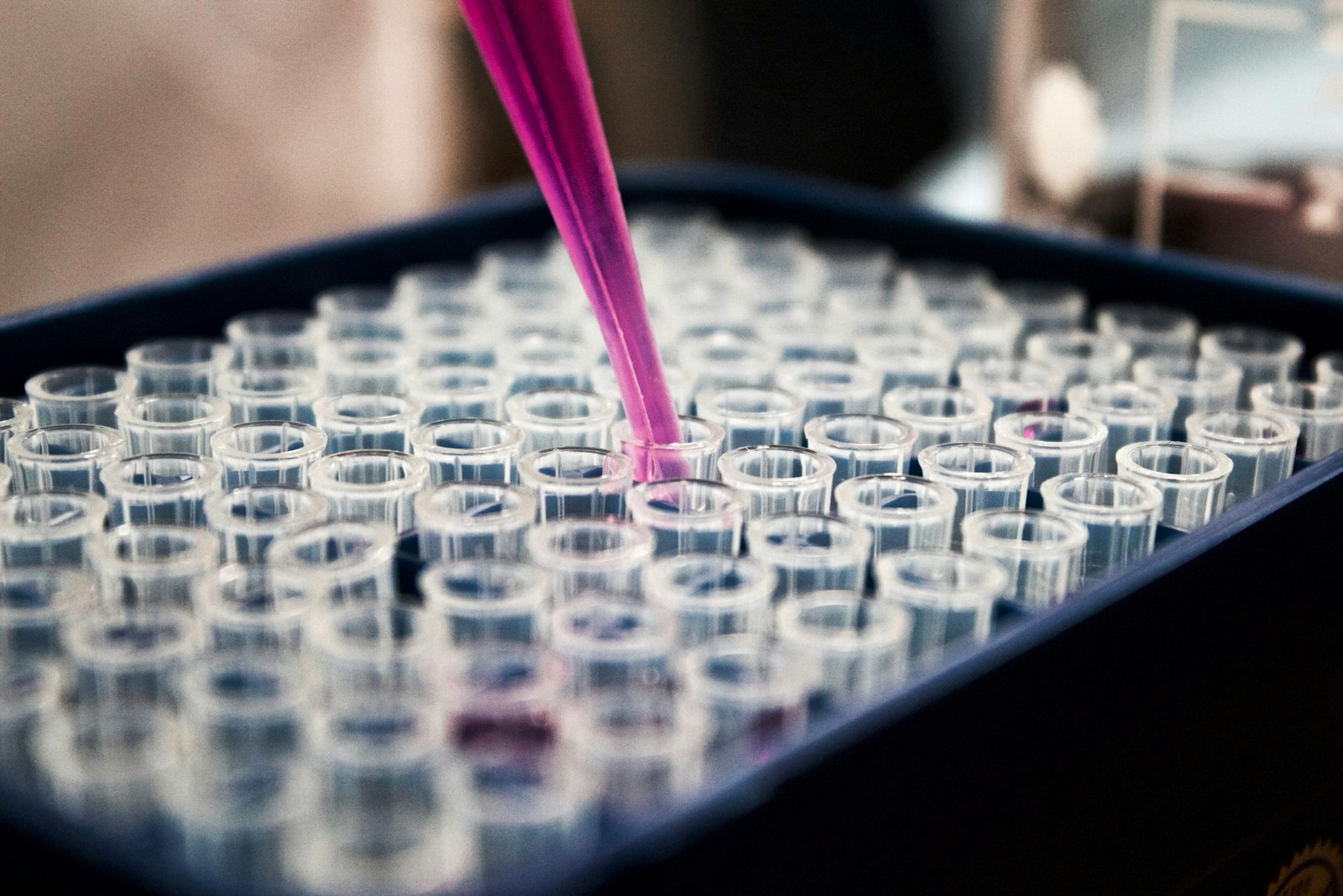 A pipette held above a microplate on a laboratory bench.